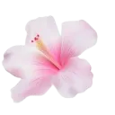 pinkflower3