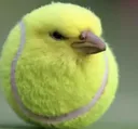 Ball