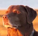 when_you_realise