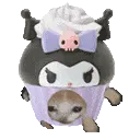 KuromiCatRun