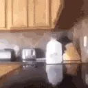 food_fight