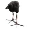 hewhoshallnotbenamed