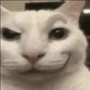 cat_smirk