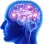 mwrp_brain