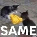 catsame
