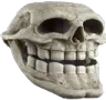trollskull trollskull