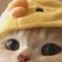 cutepeak