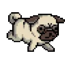 pug_running