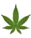 Stoner_Weed_Dance3