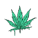 Stoner_Weed_Dance4