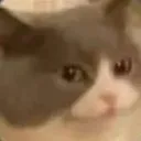 concern