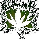 Stoner_Weed_Trippy5