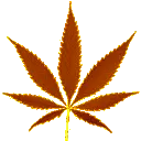 Stoner_Weed_Orange