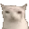 cateat