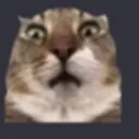TERRANCE