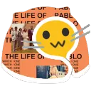 blobcatye