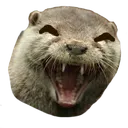 otterKEK