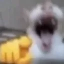 LOL