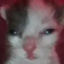 ough