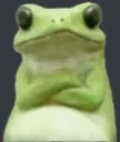 Sapo Sapo