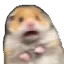 ScaredHamster Discord emoji