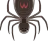 webler webler