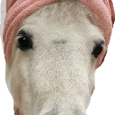 emoji_155 Discord sticker | /𝗘𝗰𝗹𝗶𝗽𝘀𝗲