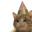 party_cat