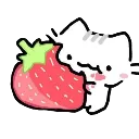 kittymunch