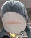:shark_stare: