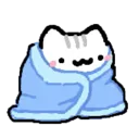 kittywarm