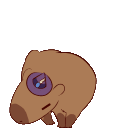 capydance