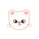 Skzoo_Jiniret