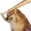 bonk