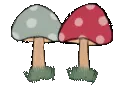 mooshrum