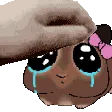 pet pet
