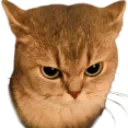emoji_40