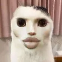 __