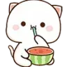 nyaNomsuika2