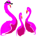 SCP1507 SCP1507