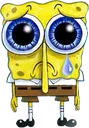 sadsponge