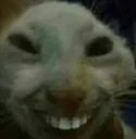 3058catwithteeth