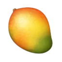4976mangofruit