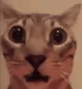 scared