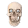https://cdn.discordapp.com/emojis/1393781565716299878.webp?size=56