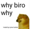 4END_why_bro_why