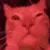 PartyCat
