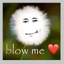 blowme