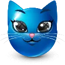 bluecat bluecat