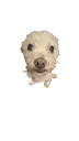 __ __